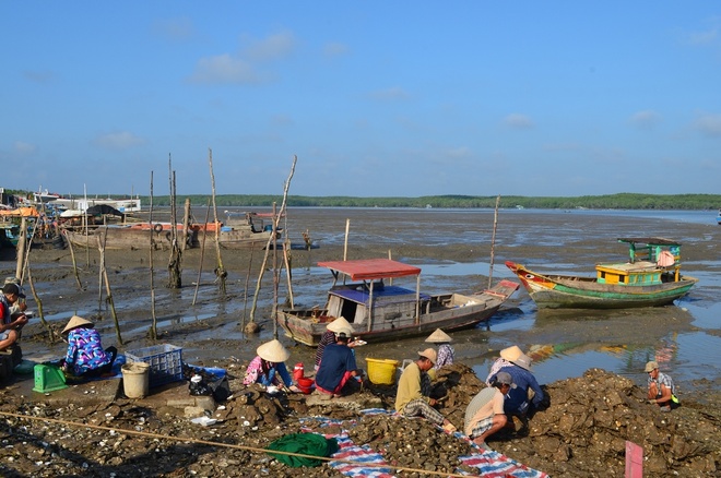  Thạnh An là xã đảo thuộc huyện Cần Giờ, cách trung tâm TP HCM hơn 70 km về phía Đông. Người dân trên đảo chủ yếu sinh sống bằng nghề nuôi trồng, đánh bắt hải sản, làm muối…