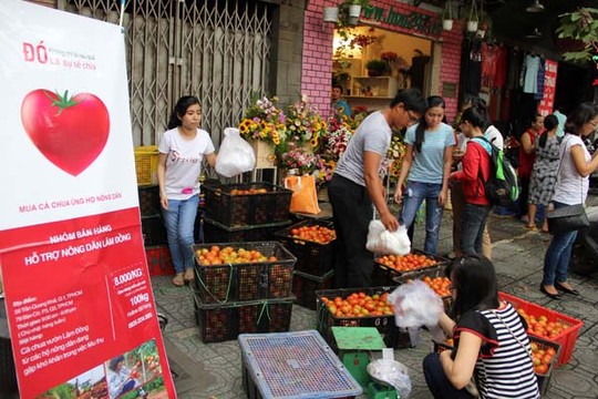 Quầy bán cà chua phi lợi nhuận của các bạn trẻ trên đường Trần Quang Khải (quận 1) được nhiều người ủng hộ