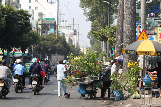 Đường Hùng Vương có rất nhiều cây cổ thụ rợp bóng mát nên những xe hàng rong trưng dụng lòng đường này để buôn bán.