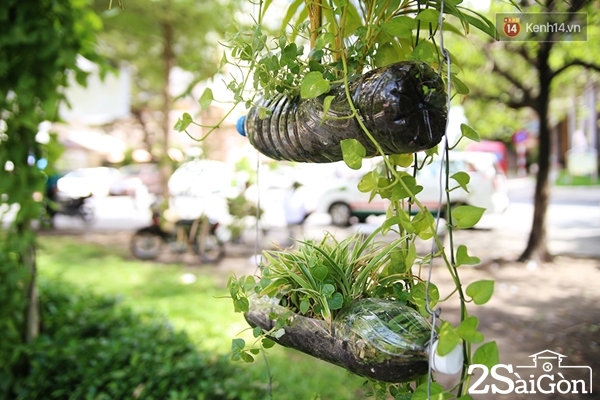 Những bình hoa bằng chai nhựa thân thiện với môi trường được treo xung quanh công viên. 