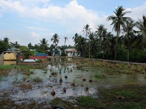 Đất đai hoang hóa trong khu bán đảo Thanh Đa. Ảnh: Việt Hoa