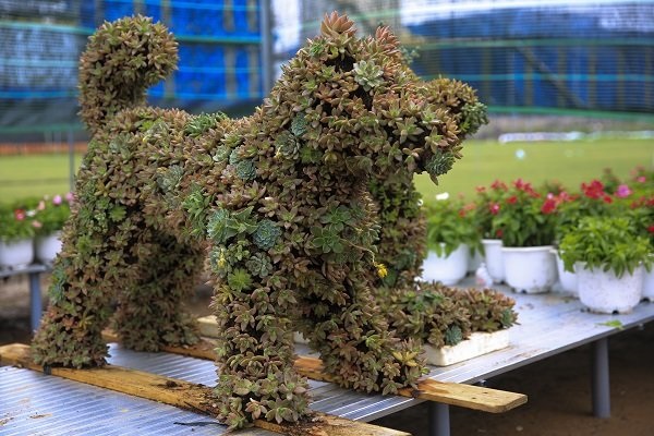 Chú chó được kết từ hoa được các công nhân chuẩn bị tại tỉnh Đồng Tháp cho đường hoa Nguyễn Huệ tết 2018.