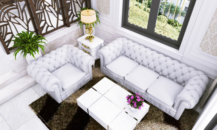 Bộ bàn ghế sofa da mang đậm tính chất quý tộc tạo sự ấn tượng cho phòng khách.