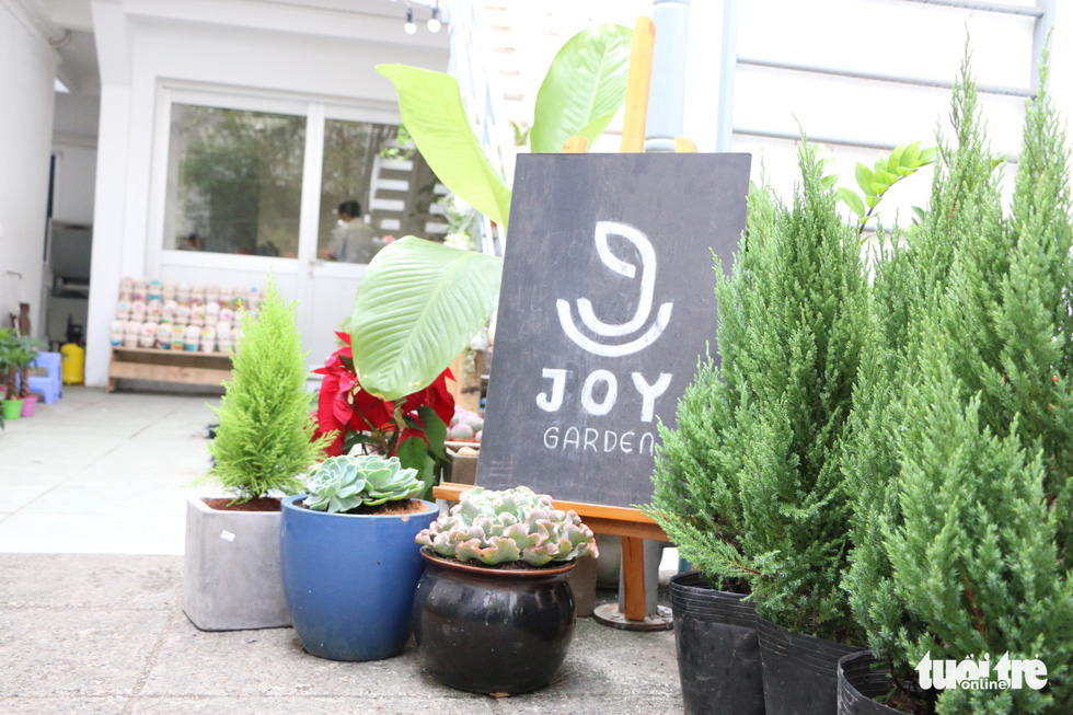 Joy Garden là cửa hàng bán cây nằm sâu trong một con hẻm nhỏ trên đường Hai Bà Trưng (quận 1). Cách đây vài năm, chị chủ của Joy Garden cũng từng quyết định từ bỏ ngành học đã chọn để chuyển sang kinh doanh cây cảnh