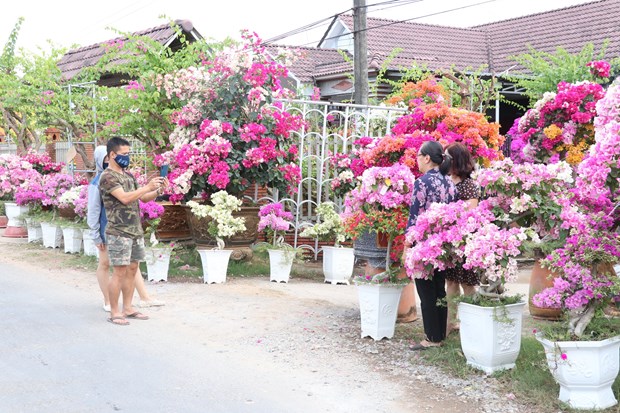 'Vuong quoc hoa kieng' Cho Lach hap dan du khach dip cuoi nam hinh anh 2