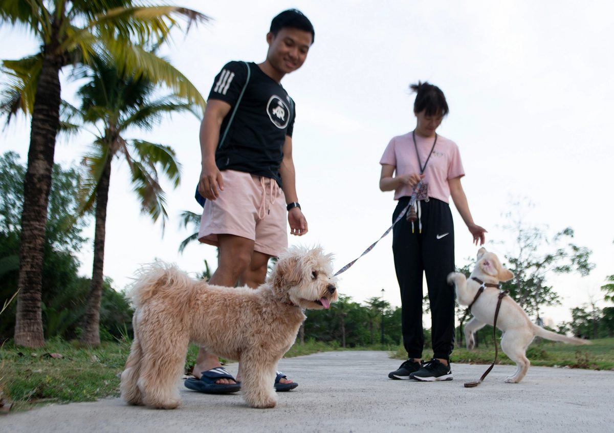 chuyen nha vi nuoi cho anh 3