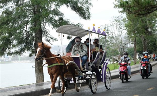 Chan chinh tinh trang “co du lich” gay sot phong ao tai Da Lat hinh anh 2