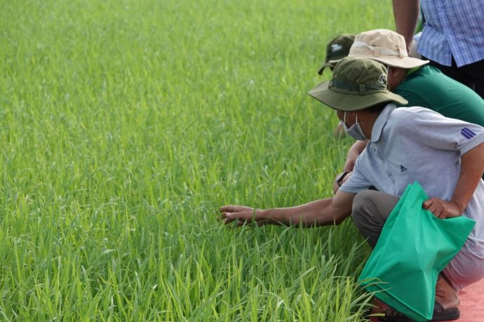 8 năm nữa, thu nhập của nông dân Việt Nam sẽ đạt 120 triệu đồng/người/năm - ảnh 5