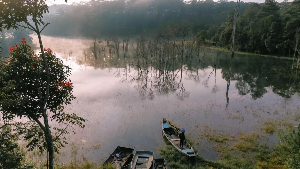 dia diem du lich, Suoi Tia, thanh pho Da Lat anh 2