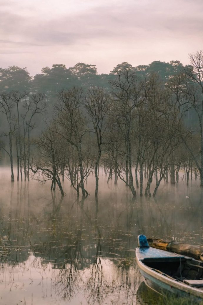 dia diem du lich, Suoi Tia, thanh pho Da Lat anh 4