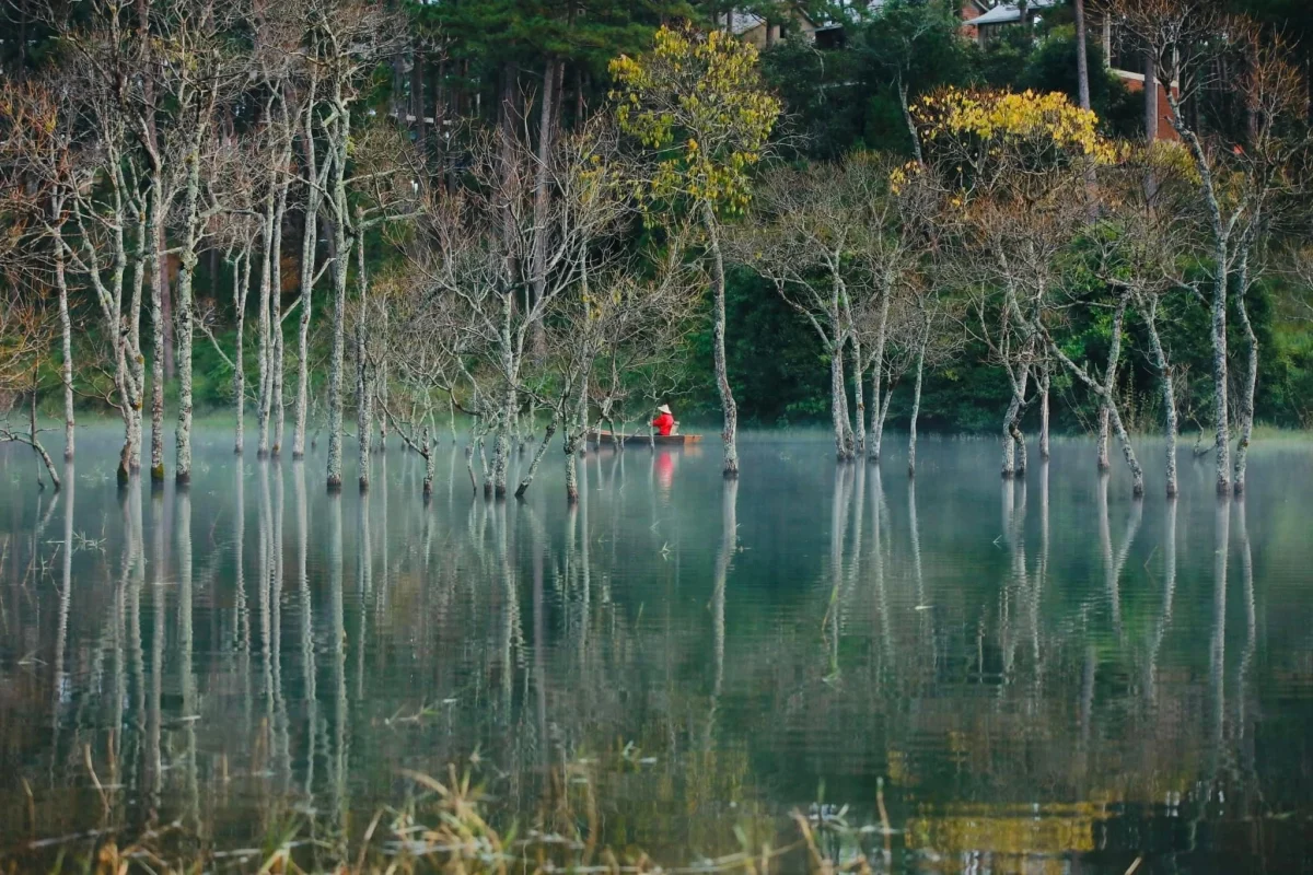 dia diem du lich, Suoi Tia, thanh pho Da Lat anh 5