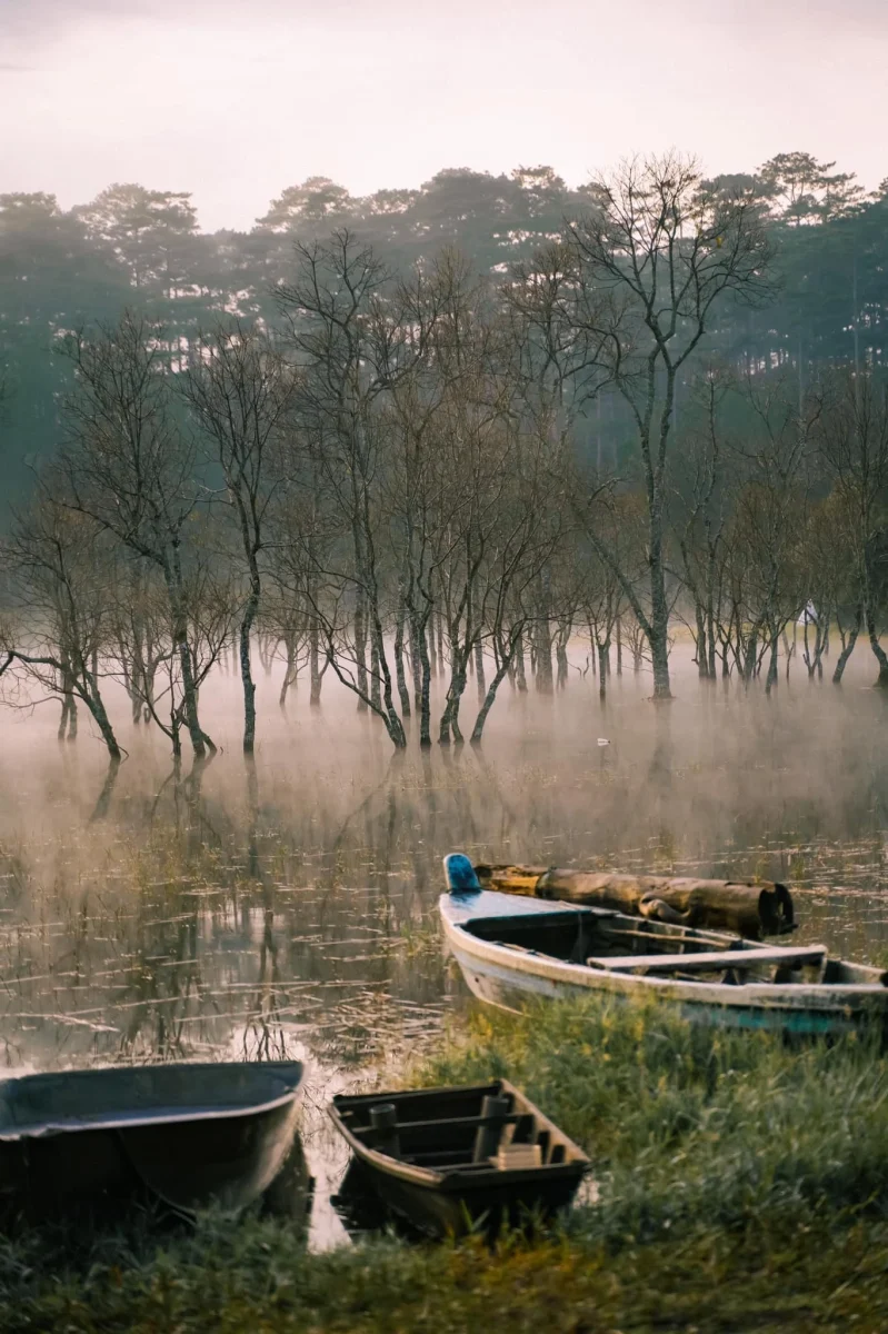 dia diem du lich, Suoi Tia, thanh pho Da Lat anh 7