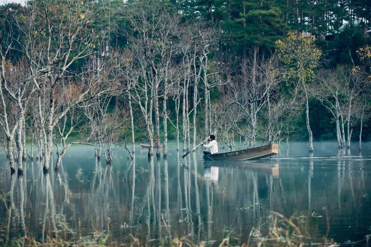 dia diem du lich, Suoi Tia, thanh pho Da Lat anh 8