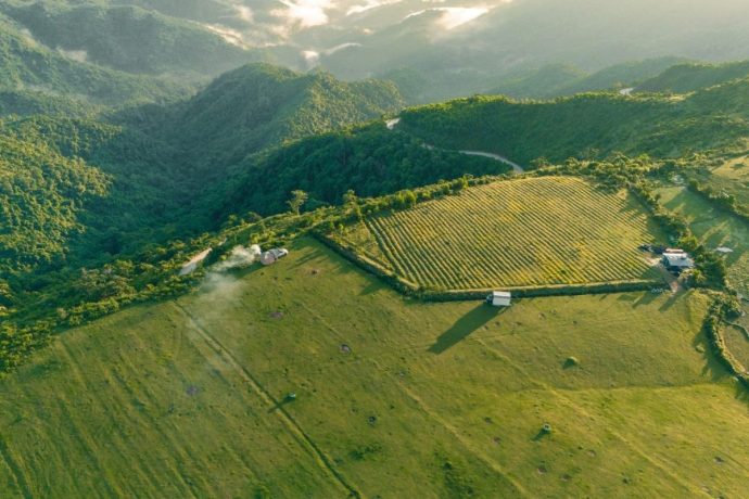 Du lich Quang Ngai, Quang Ngai di dau anh 15